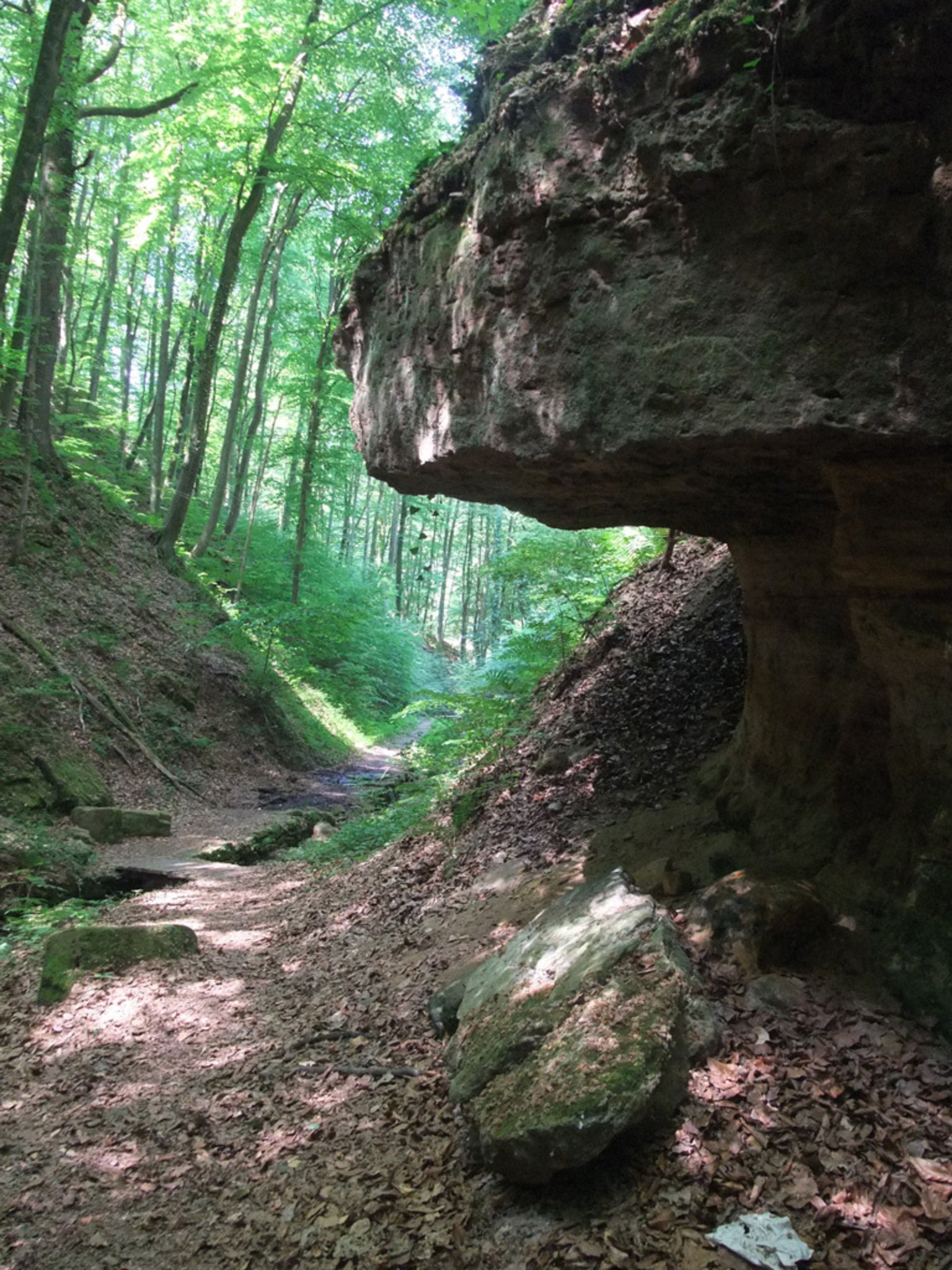 Ausflugtipp: Die Seltenbachschlucht in Klingenberg - Elsenfeld