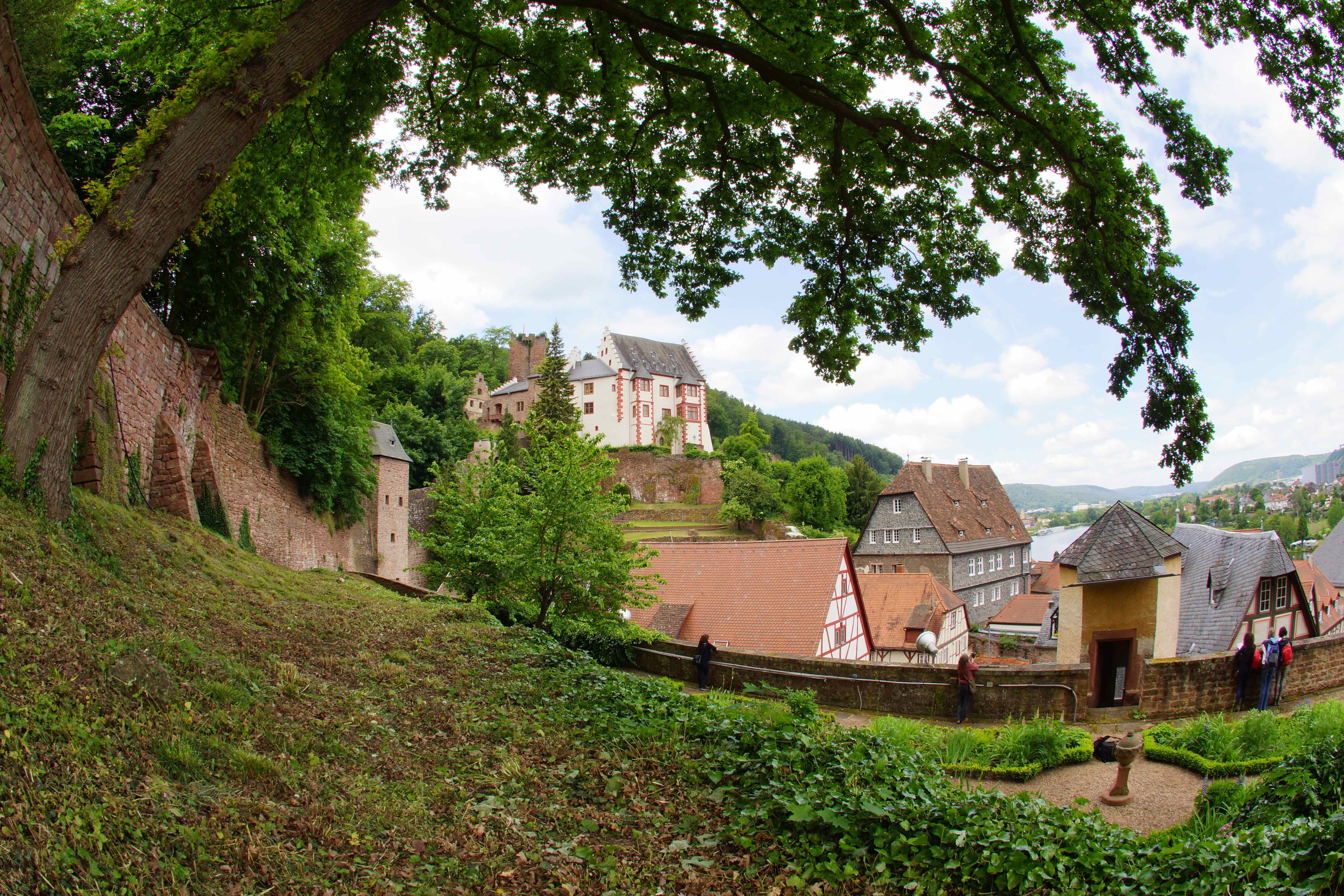 Blick zur Mildenburg