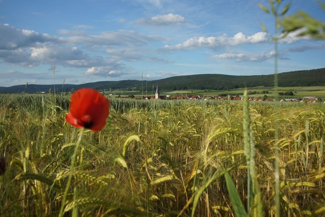 Weites Land bei Röllbach im Spessart.