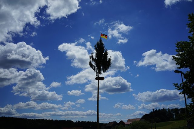 Monbrunner Maibaum, bekrönt mit bundesdeutscher Flagge