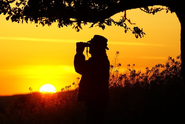 Naturfreund am frühen Mai-Morgen bei Windischbuchen.