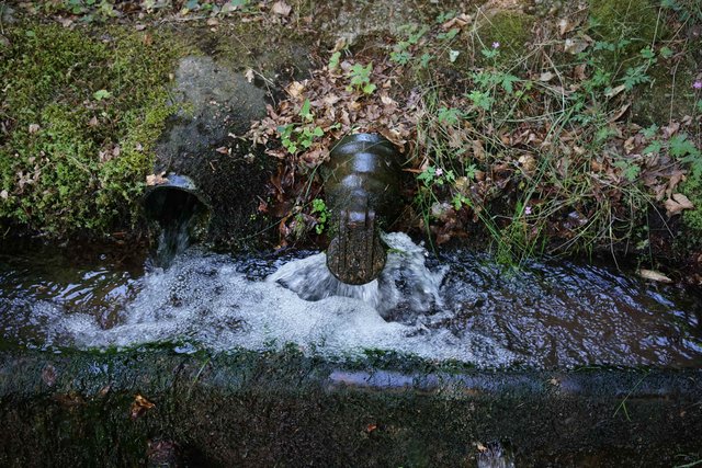 Immer wieder ein Wunder: sauberes Quellwasser an der Springerquelle, das ohne Stillstand Tag und Nacht aus dem Mainbullauer Berg austritt!