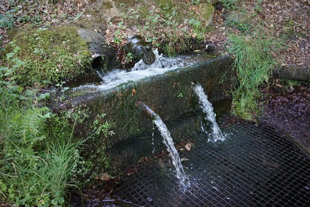 Wasser - wertvolles Gut, das geschützt werden muss. . Gesehen an der Springer-Quelle.
