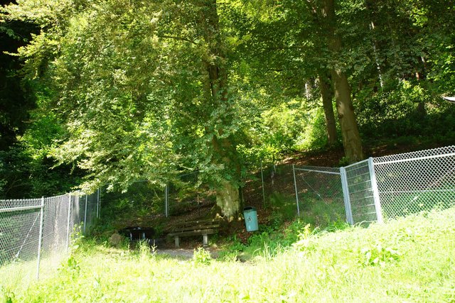Die Springer-Quelle zu Füßen des Mainbullauer Berges: willkommener Rastplatz und Einladung zum Erkunden der Gegend.