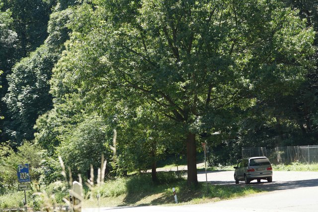 Idyllischer Rastplatz nahe der Springerquelle zu Fuß des Mainbullauer Berges.