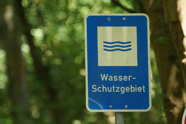 Aus diesem Quellgebiet bei Maibullau bezieht Miltenberg einen Teil seines Trinkwassers.