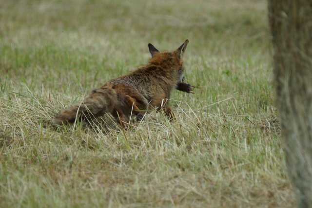 Jetzt aber schnell weg!