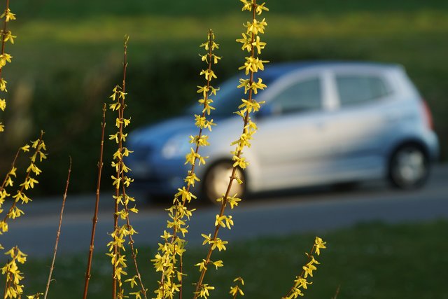 Sparsamer Benzinverbrauch gilt bei Neukunden nach wie vor als höchste Priorität beim Kauf und in der Fahrpraxis.