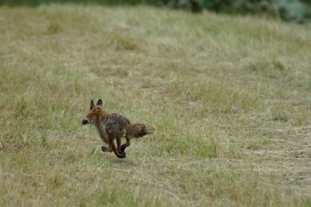 Es gibt kein Zurückschauen!
