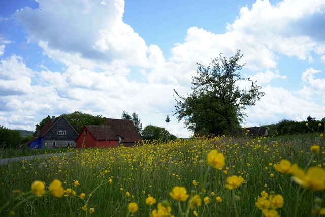 Mai-Szenerie in Gottersdorf.