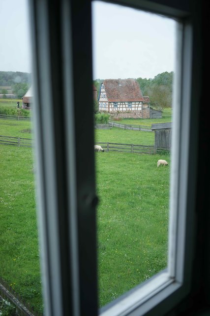 Blick ins Freie.