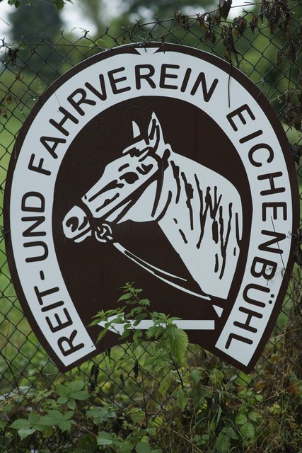 In Eichenbühl gibt es auch einen Reit- und Fahrverein