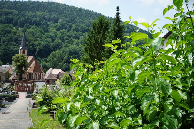 Friedhof und Pfarrkirche in Eichenbühl.