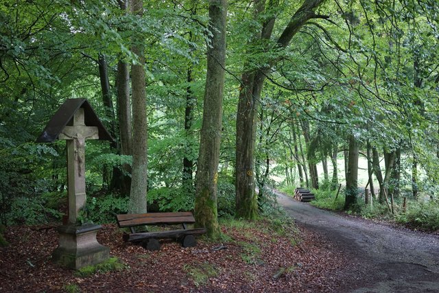 Im Kohlgrund stößt man auf Schritt und Tritt auf Überraschungen in der Natur- und Kulturlandschaft.