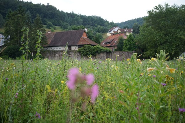 Blick zum einstigen Wasserschloss in Riedern