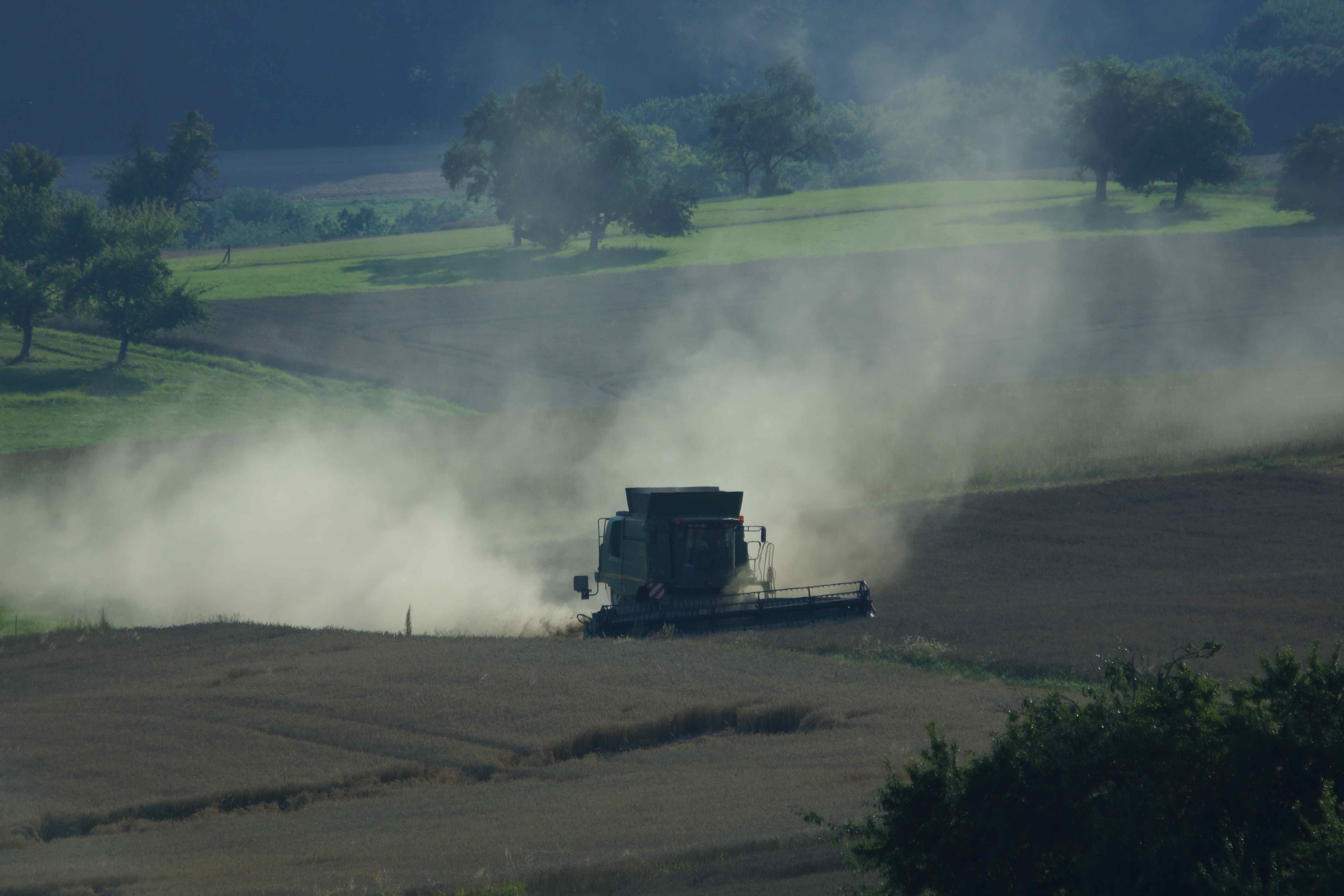 Das staubt's gewaltig! Getreideernte zwischen Röllbach und Mönchberg im Spessart.