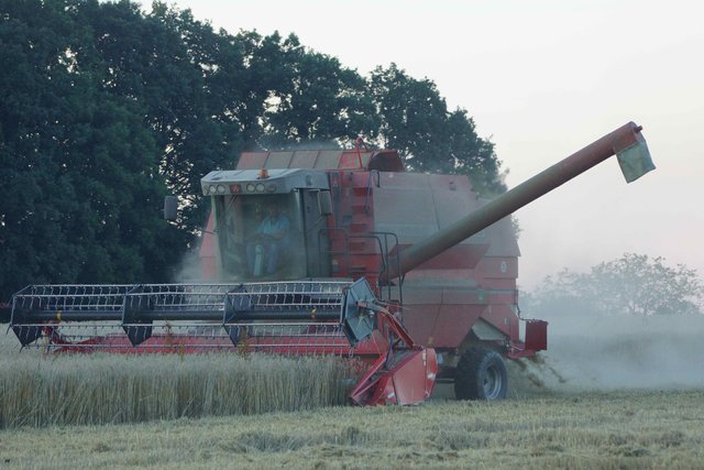 Getreide-Ernte am Rosshof zwischen Großheubach und Röllbach.