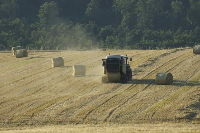 Stroh-Rundballen-Produktion zwischen Rosshof und Röllbach.