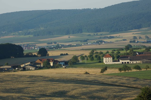 Rosshof. Getreideernte. 18.07.2014.