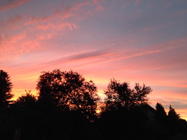 Von Zuhause an einen schönen Abend