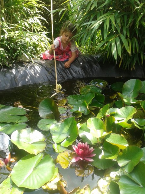 Ronja beim Enten einfangen
