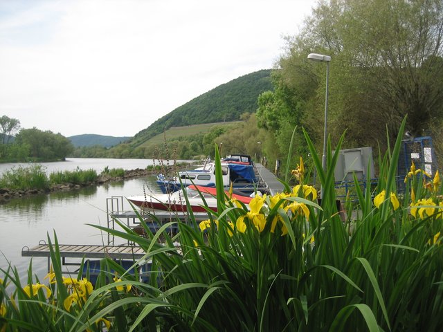 die Boote am Großheubacher Hafen ,bereit zu Start in den Sommer