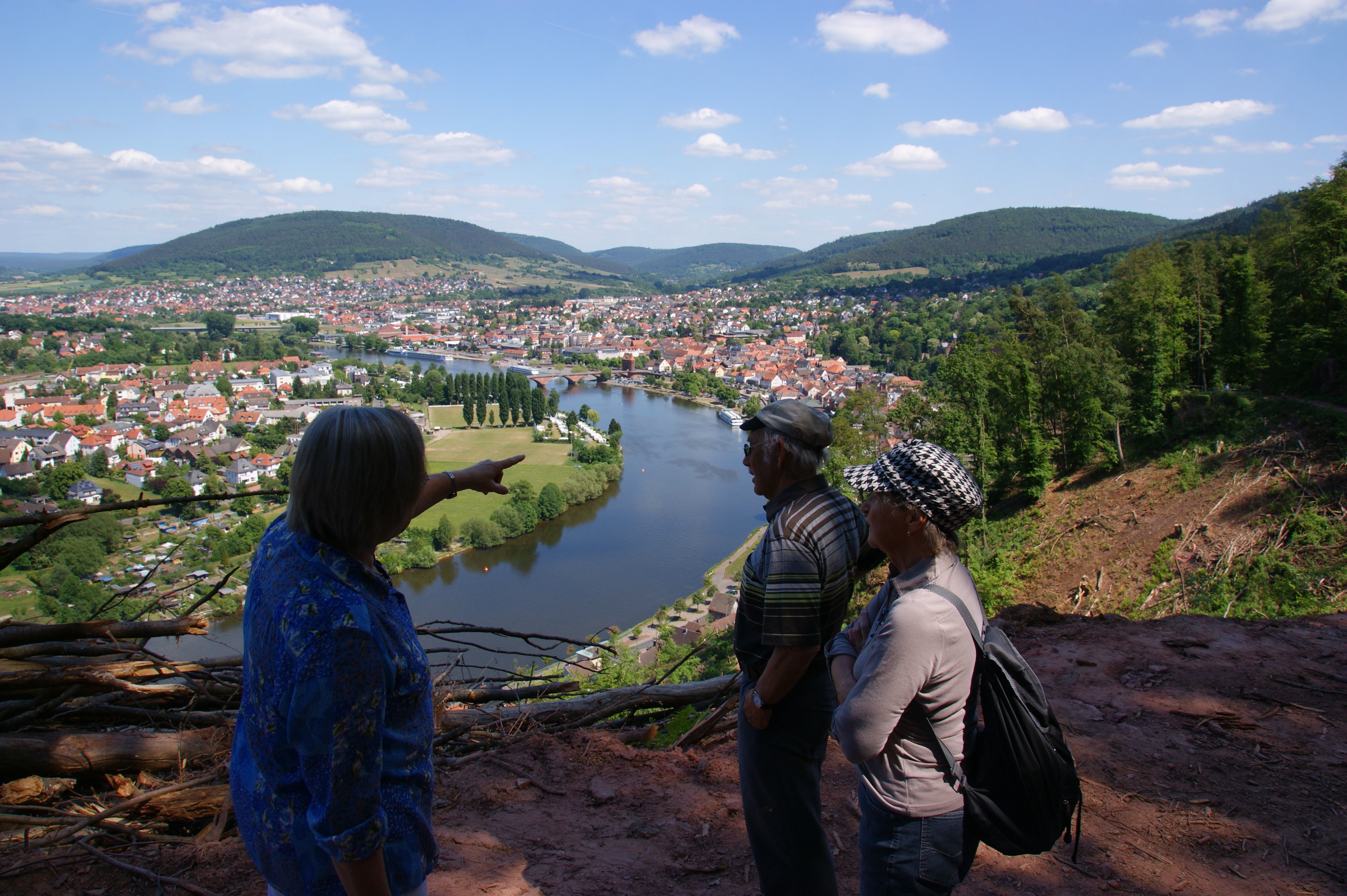 Blick auf Miltenberg.