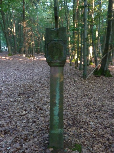 Rechte Seite