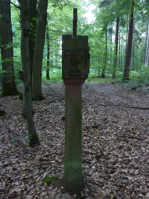 Linke Seite