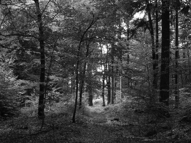 ein Weg ...