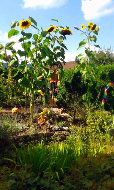 SOMMERFEELING IM GARTEN