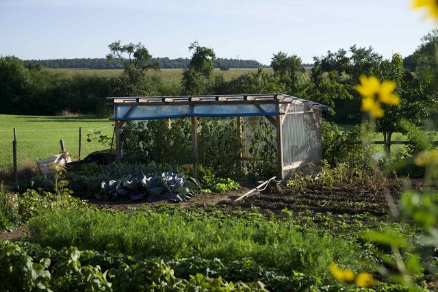 Garten in Windischbuchen