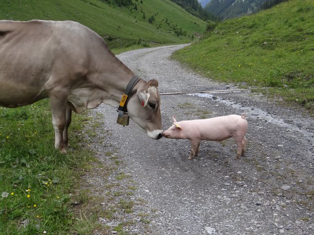 Urlaub im Lechtal