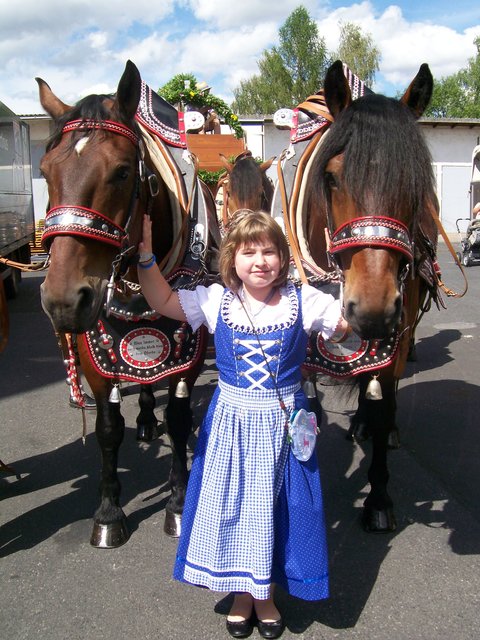 Das war an der Marktheidenfelder-Messe. Ich mit Cironimo und Joschi,die den Brauerreiwagen am Festzug zogen!!