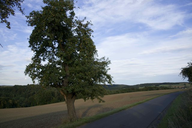 Weg  zum Storchhof