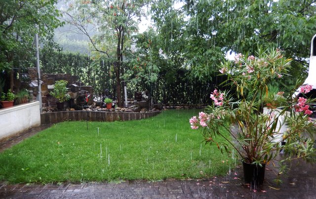Ein Sommer, der keiner war...
