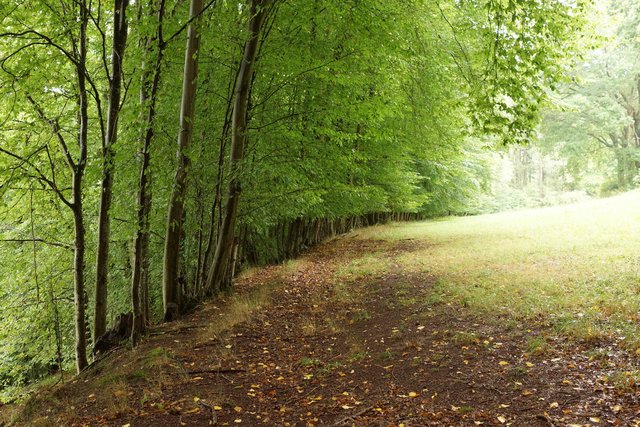 Romantik pur im Kaltenbachtal.