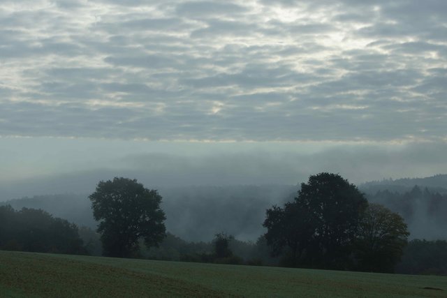 Morgenstimmung über dem Kaltenbachtal südlich von Heppdiel.