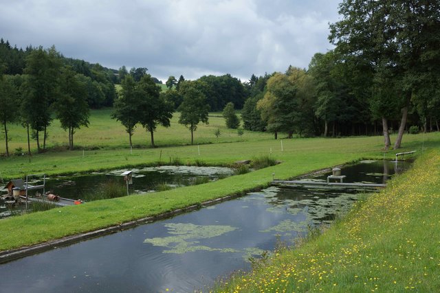 Fischweiher bei der einstigen Schulzenmühle.