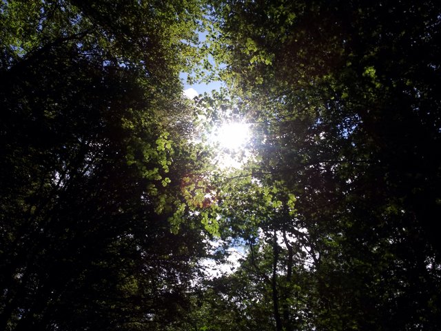 Sonnenschein in der Rhön