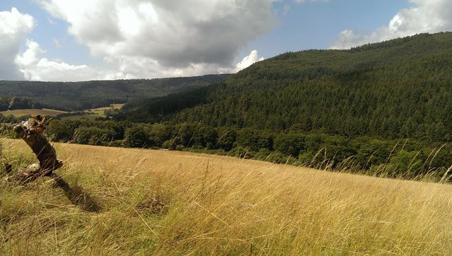 spaziergang durch den odenwald