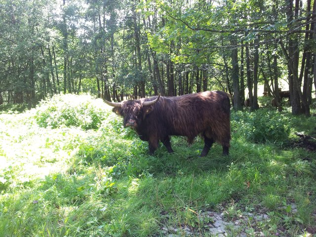 Beobachtung beim Spaziergang.