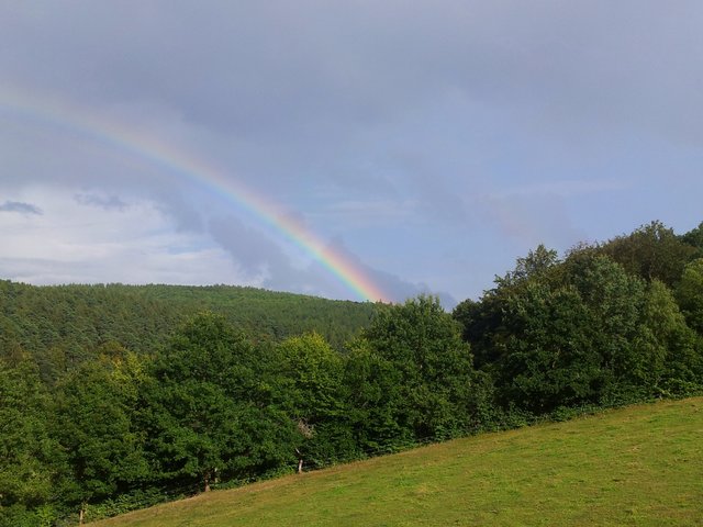 Regenbogen bei einem Platzregenschauer. (Schmalwasser in der Rhön).