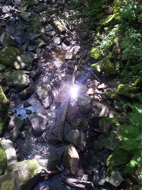 Die Sonne spiegelt sich im Bachlauf (in der Rhön).