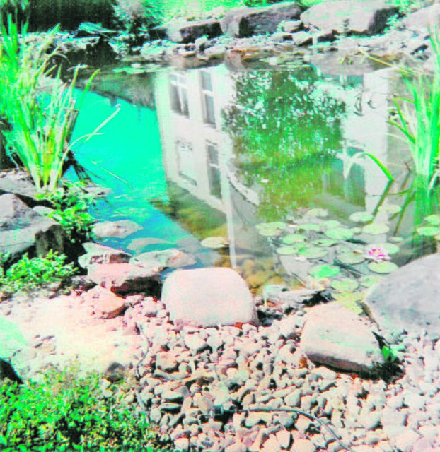 Hurra, die Sonne meint es gut mit uns! Sie zaubert uns ein Seehotel, Goldfische schwimmen hin und her und freuen sich auf die Unterwasserwohnung, man könnte noch ein Seefest feiern, da wären alle froh!