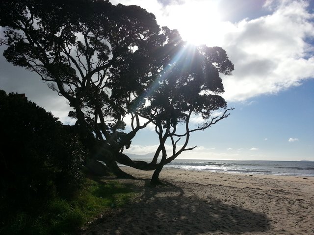 In Neuseeland