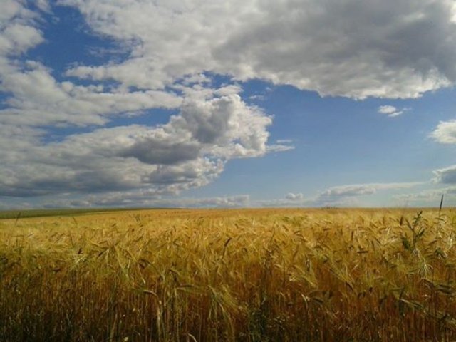 Sommerhimmel im Juni 2014 gesehen bei Mömlingen