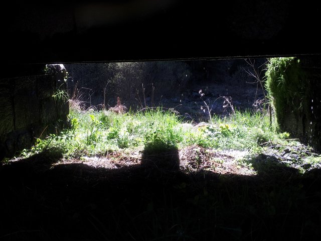 An einem Bachlauf unter einer Brücke fotografiert (In der Nähe von Srni im Böhmerwald/Tschechei).