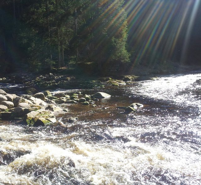 Wasser und Sonneneinstrahlung.