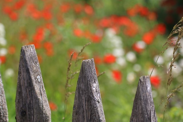 Sommergarten